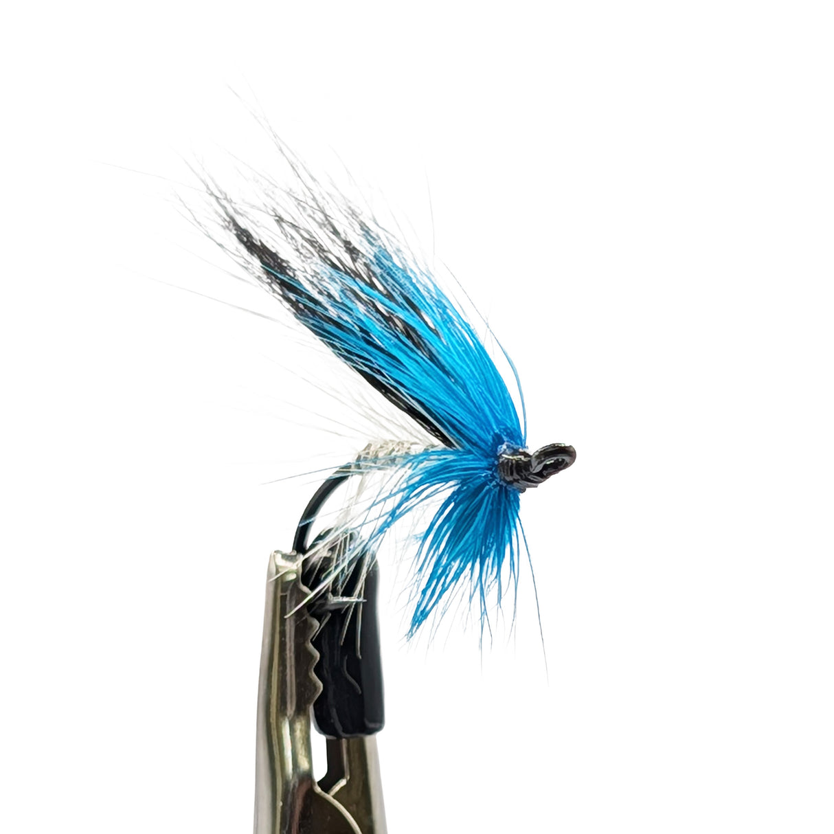 Fishing fly with blue and black feathers on a white background