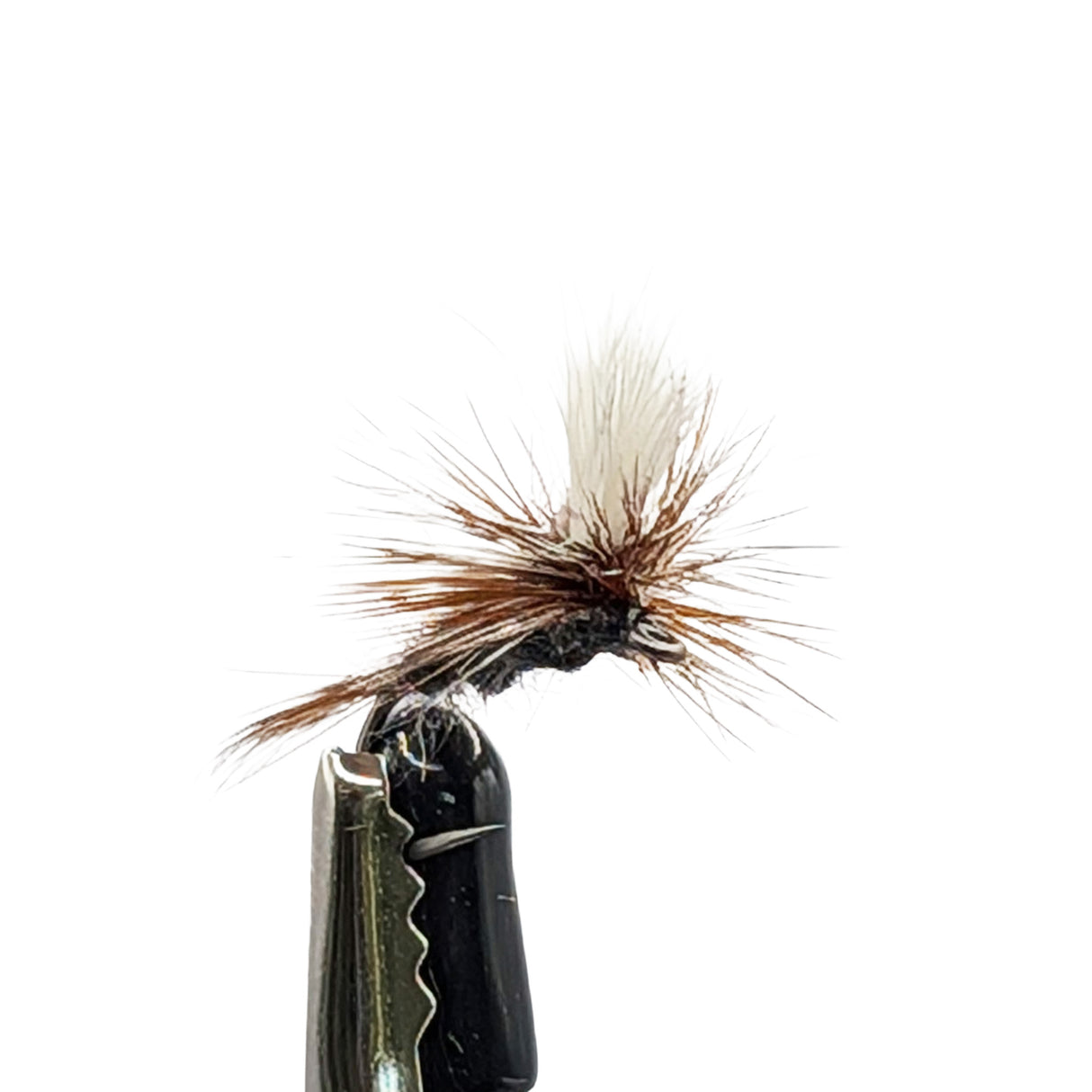 Close-up of Parachute Adams dry fly for trout fishing showing grey body and parachute hackle detail