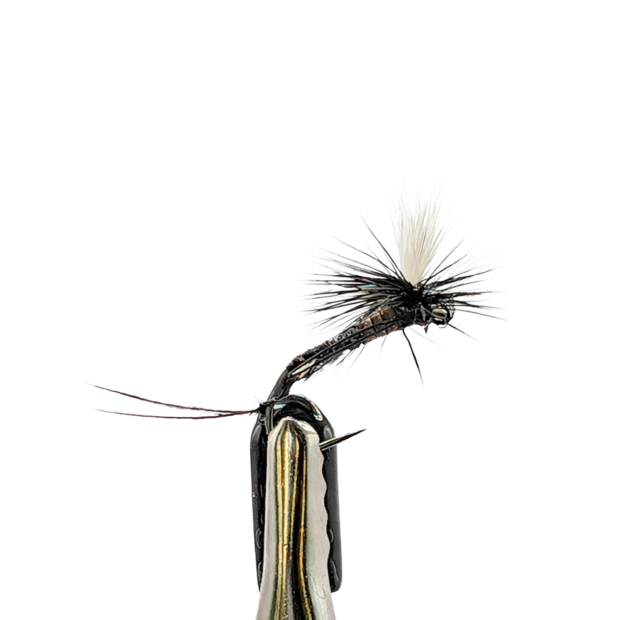 Fishing fly with black and white details on a white background