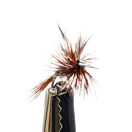 Close-up of a fly fishing fly with brown and black details on a white background
