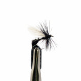 Black ant dry fly for trout fishing with black body, segmented profile and visible wing