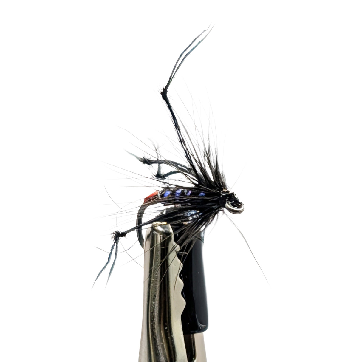 Close-up Black Hopper wet fly with black body and hackle