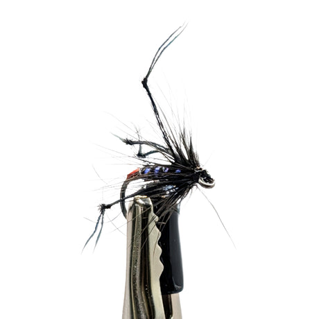Close-up Black Hopper wet fly with black body and hackle