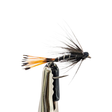Black Pennell wet fly for trout with dark hackle and traditional wing
