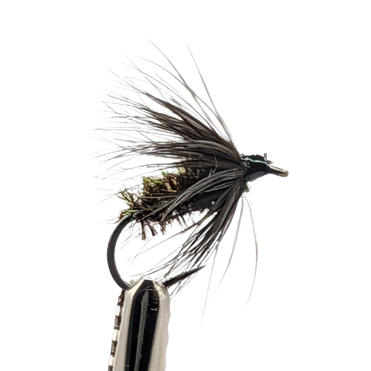 Close-up of black and peacock spider wet fly for trout fishing showing peacock body and soft hackle detail