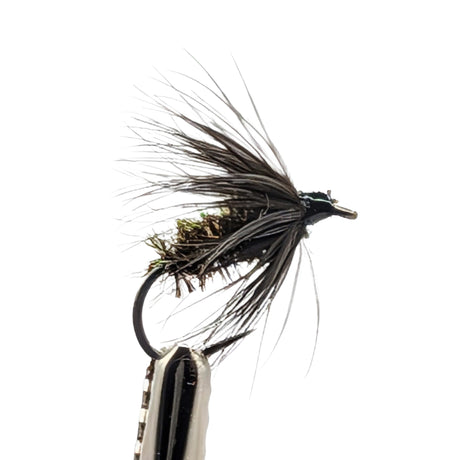 Close-up of black and peacock spider wet fly for trout fishing showing peacock body and soft hackle detail