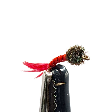 Close-up of a fly fishing nymph with red and black details on a white background