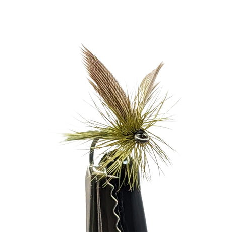 Blue Winged Olive dry fly for trout fishing with olive body, grey wings and fine hackle