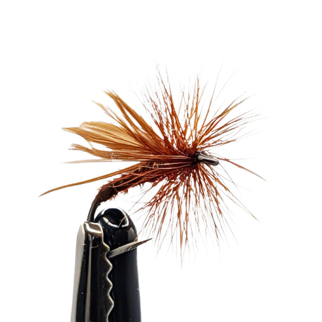 Brown fly on a black fishing hook against a white background