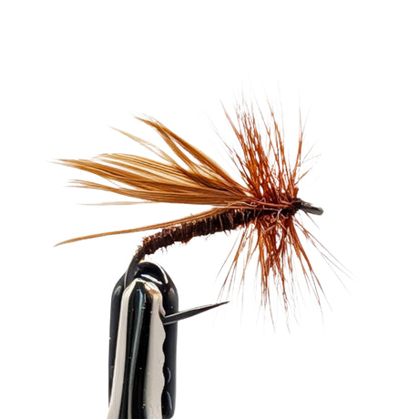 Fishing fly with brown and black details on a white background