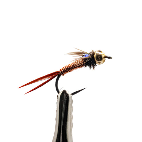 Close-up of Copper John nymph fly for trout fishing showing copper body and bead head detail
