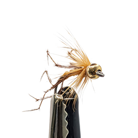 Close-up Daddy Longlegs gold bead nymph with bead head