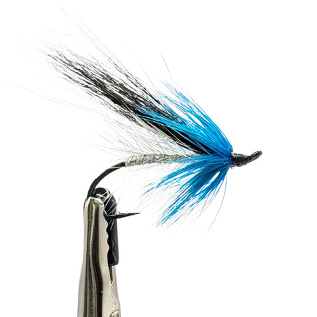 Sea Trout Fly Fishing fly with blue and black fibers on a white background