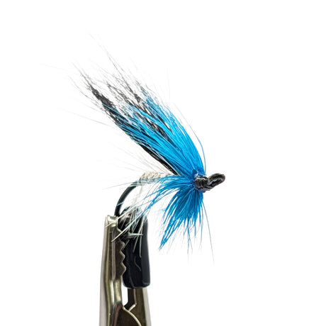 Fishing fly with blue and black feathers on a white background