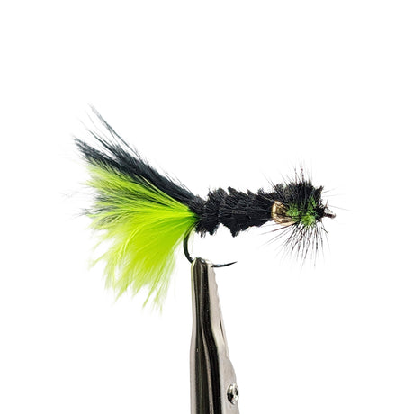 Side view Damsel Montana black nymph with gold bead