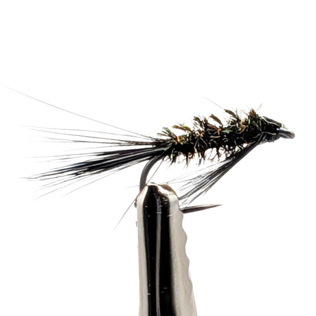 Diawl Bach black and peacock nymph fly for trout fishing with peacock body, black thorax and slim profile