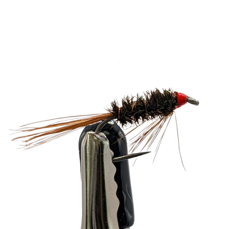 Diawl Bach Hot Head nymph trout fly with brown body and red bead