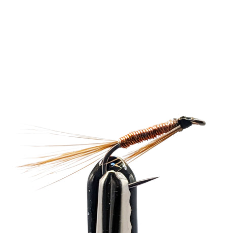 Close-up of a fly fishing nymph with copper and black details on a white background