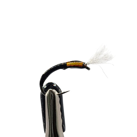Close-up of a fishing buzzer with a white background