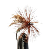 Grannom dry fly for trout fishing with dark body, green thorax and sedge-style wing