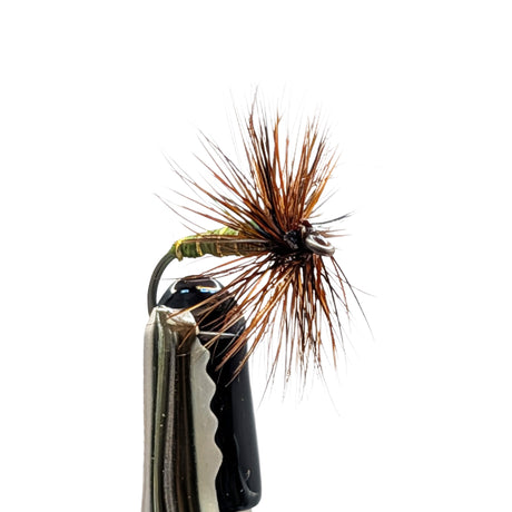 close up Greenwell’s Glory dry fly with olive body