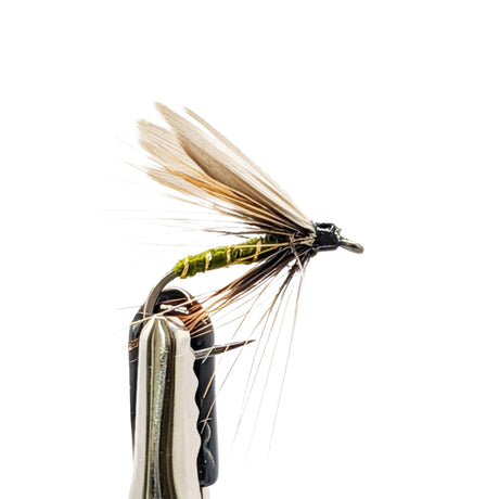 Greenwell’s Glory wet fly for trout with olive body and soft hackle