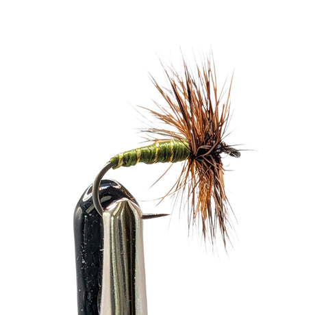 Greenwell’s Glory for trout fishing with olive body, brown hackle and upright wings