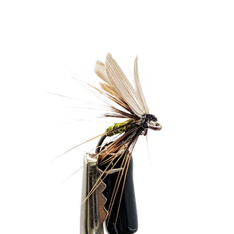 Greenwell’s Glory wet fly close up