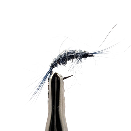 Grey scud nymph fly for trout fishing with segmented grey body, shell back and realistic profile