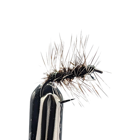 Close-up of a fly fishing fly with a white and black body on a white background