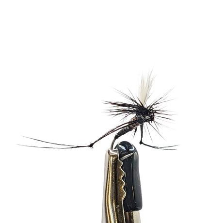 Fishing fly on a hook with a white background