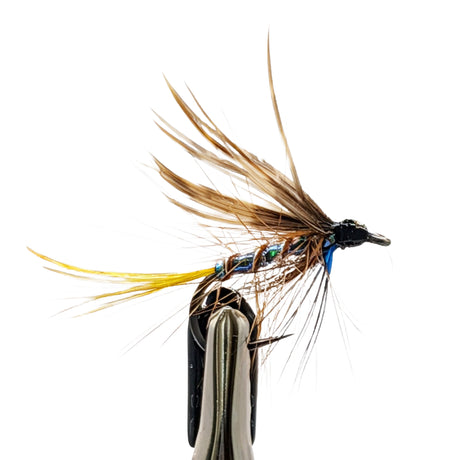 detailed image of sea trout fly on a white background