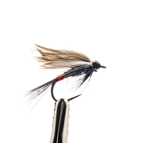 Close-up of Iron Blue Dun wet fly for trout fishing showing blue grey body and hackle detail