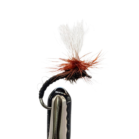 Klinkhammer dry fly black trout pattern with parachute hackle and trailing shuck
