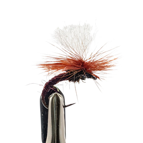 Klinkhammer dry fly claret for trout fishing with claret body, parachute hackle and white post
