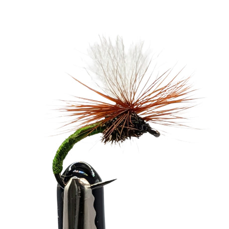 Klinkhammer dry fly green for trout fishing with olive green body, parachute hackle and white post