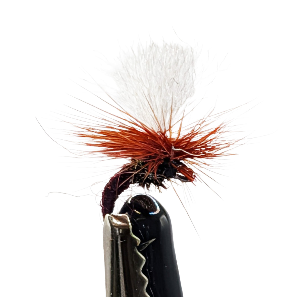 close up dry fly claret for trout fishing with claret body, parachute hackle and white post