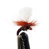 close up dry fly claret for trout fishing with claret body, parachute hackle and white post