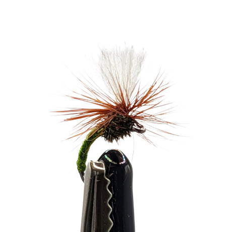 Close-up Klinkhammer dry fly green with olive body