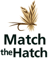 Logo of 'Match the Hatch' with a fly fishing hook on a transparent background