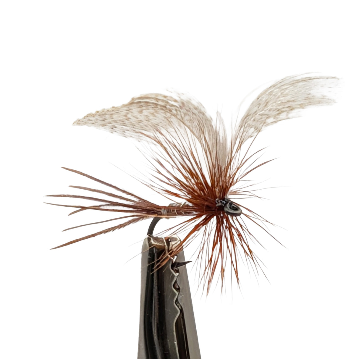 Side view Mayfly Grey Drake dry fly with grey body