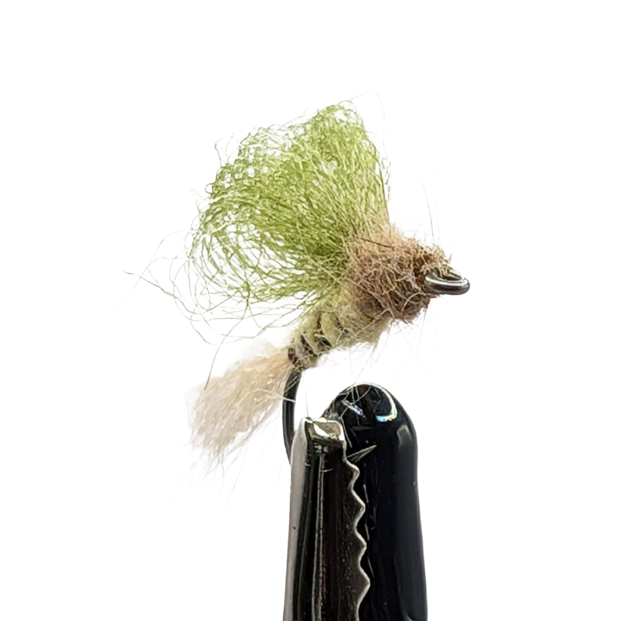 Close-up mayfly emerger fly with trailing shuck