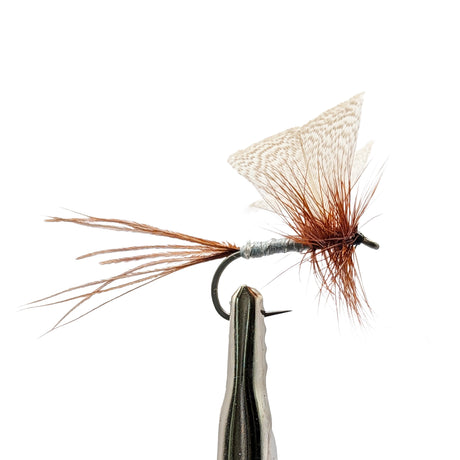 Mayfly Grey Drake dry fly for trout fishing with grey body, upright wings and hackle