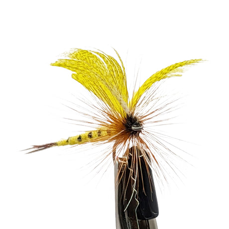 Close-up Mayfly Thomas Yellow dry fly with yellow body