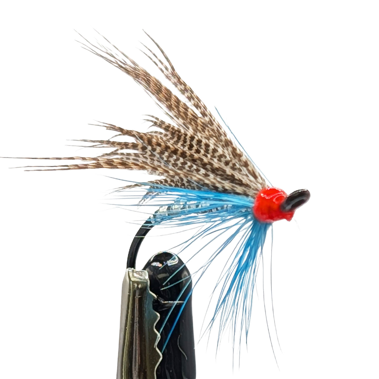 sea trout fly called medicine mallard with white background