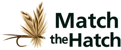 Match The Hatch