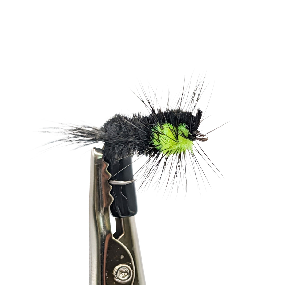 Montana Black and Lime nymph fly fishing pattern for trout with vivid green chenille and black hackle
