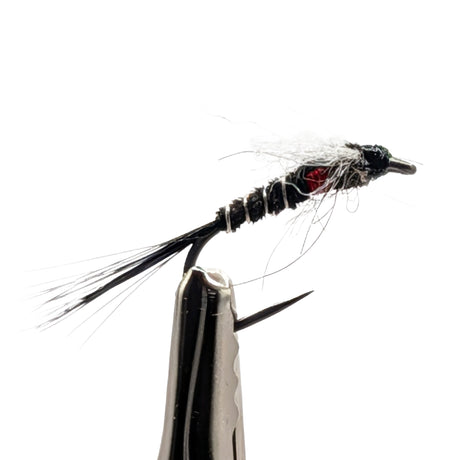 Macro close-up of Black Muskin nymph with slender body and ribbed segmentation