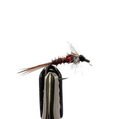 Muskin Hot Spot Pheasant Tail nymph trout fly with natural tail fibres and bright hotspot