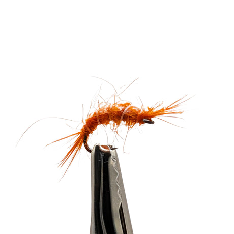 Close-up of orange scud nymph fly for trout fishing showing segmented body and shell back detail